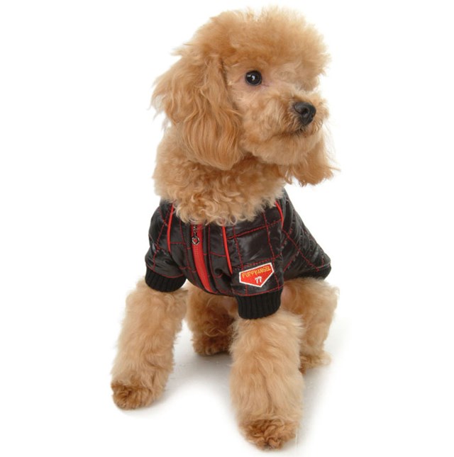 PA F1 Jacket - Svart - XL