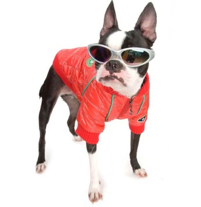 PA F1 Jacket - Röd - Small