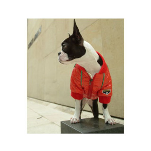 PA F1 Jacket - Röd - Small