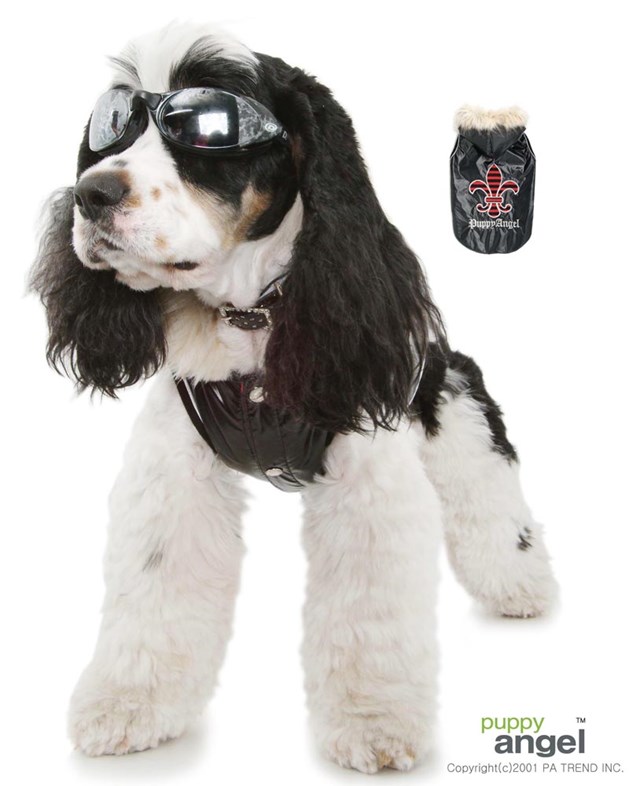 Crazy Crest Padded Vest Black - XL