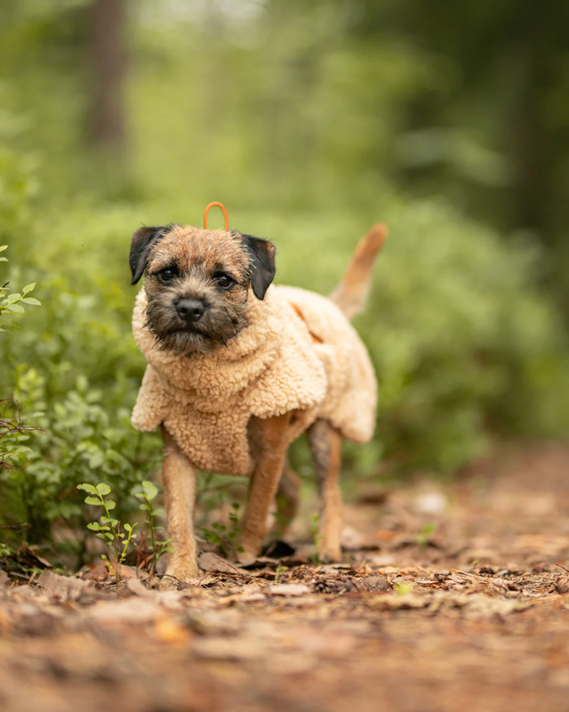 PAIKKA Sherpa shirt Taupe