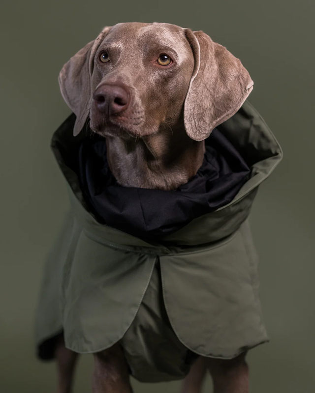 PAIKKA Visibility Winter Jacket Wool Green