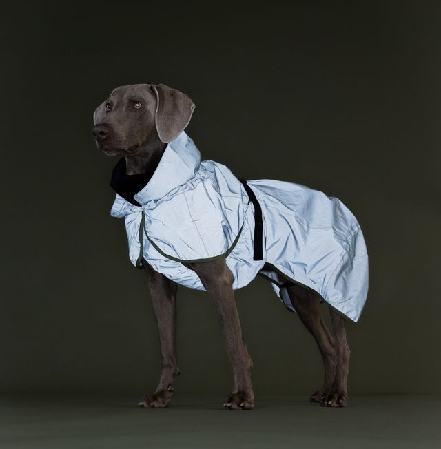 PAIKKA Visibility Winter Jacket Wool Green