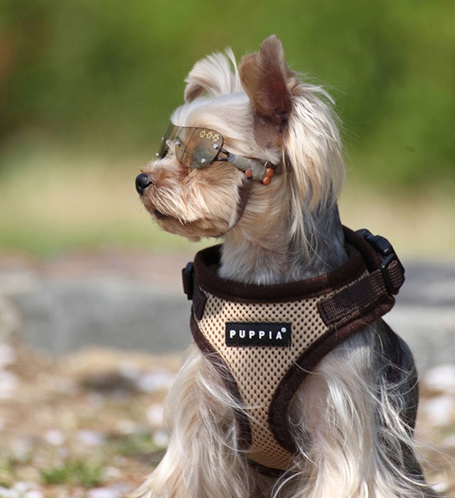 RITEFIT SOFT Beige - Hundsele