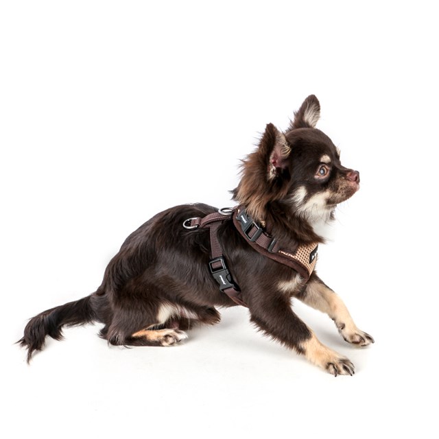 RITEFIT SOFT Beige - Hundsele