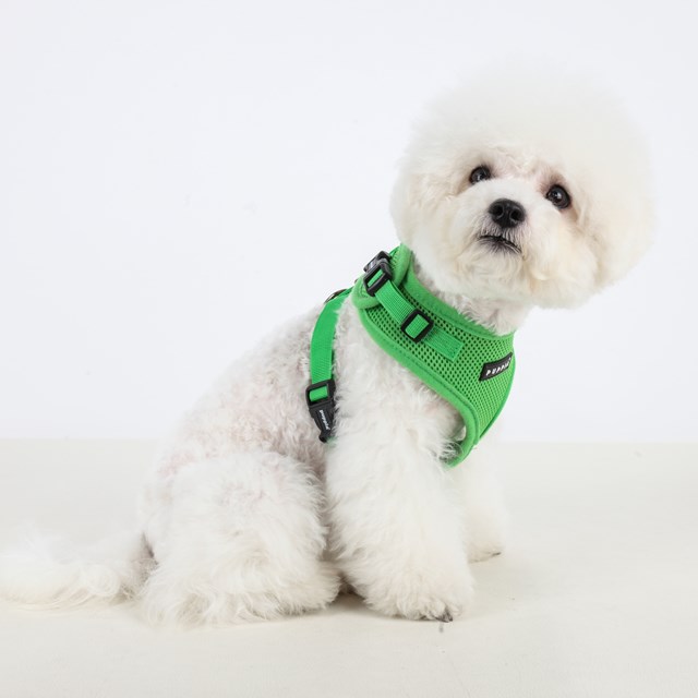 RITEFIT SOFT Green - Hundsele