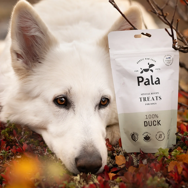Pala Treats 100% Duck 100g