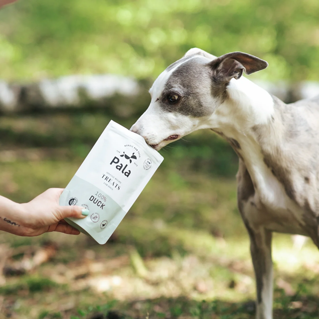 Pala Treats 100% Duck 100g