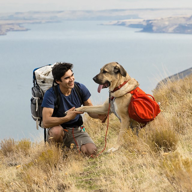 Ruffwear Palisades Pack Klövjeväska - Red Sumac
