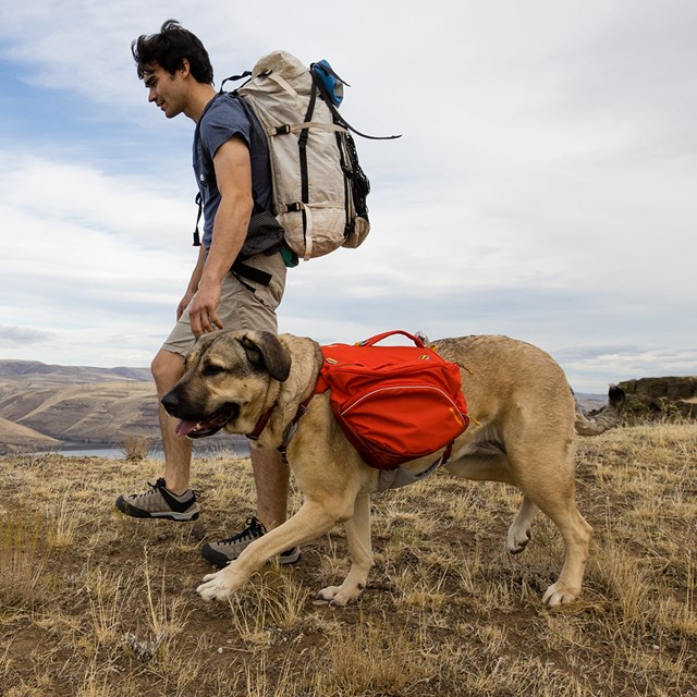 Ruffwear Palisades Pack Klövjeväska - Red Sumac