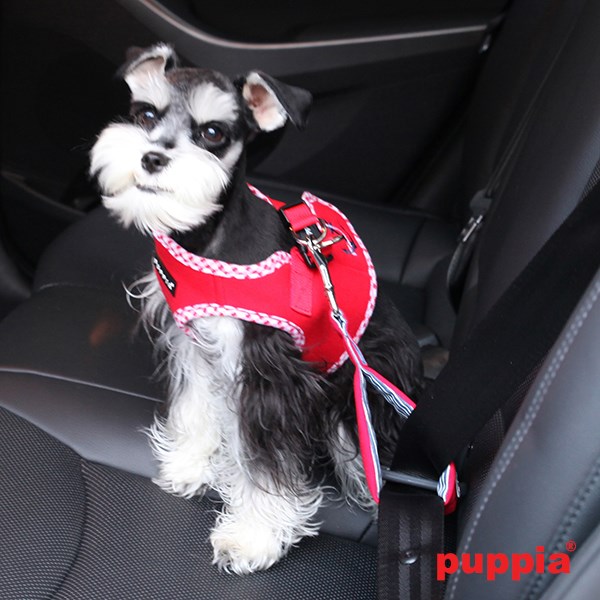 ATTICUS Red - Jacket Hundsele