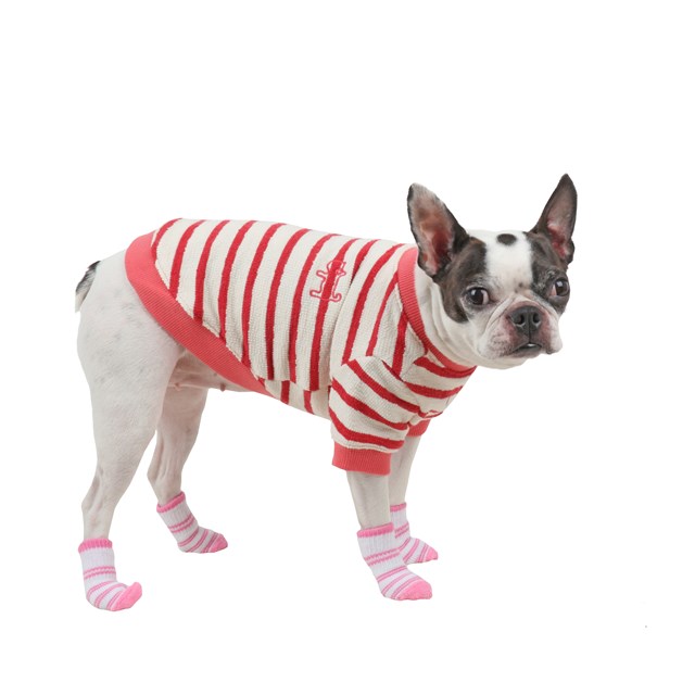 Dolce Pink - Hundstrumpor - Large