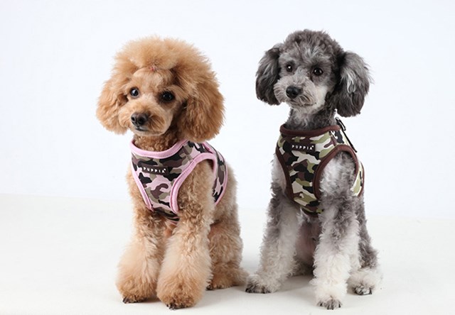 Legend Brown - Jacket Hundsele