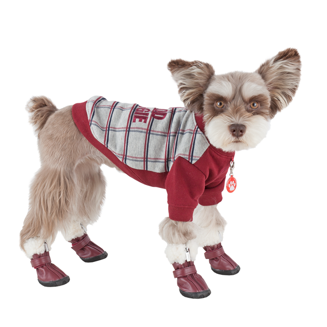 PATHFINDER Hundskor - Brun