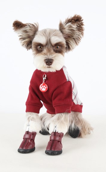 PATHFINDER Hundskor - Brun