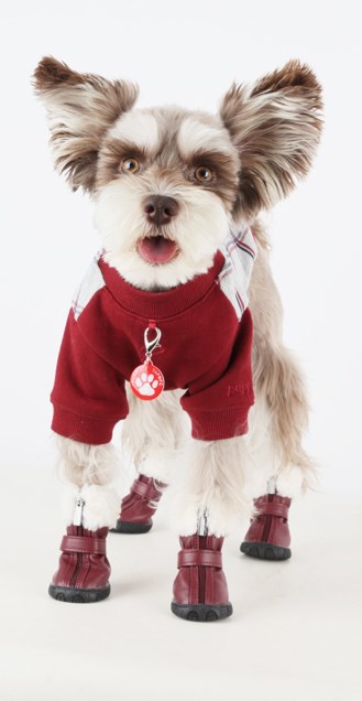 PATHFINDER Hundskor - Brun