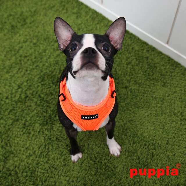 RITEFIT NEON SOFT Orange - Hundsele