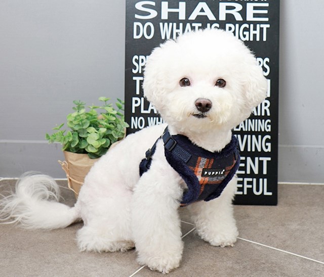 KEMP Navy - Fodrad Step-in Hundsele