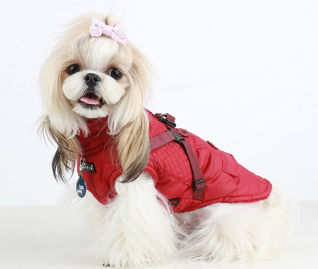 WILKES Red - Hundtäcke med Integrerad Sele