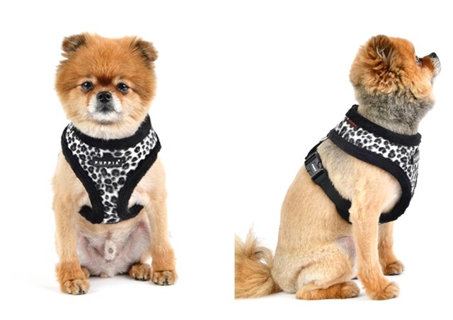 Leonard Black - Fodrad Hundsele