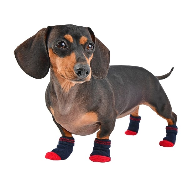 Dylan Navy - Hundstrumpor