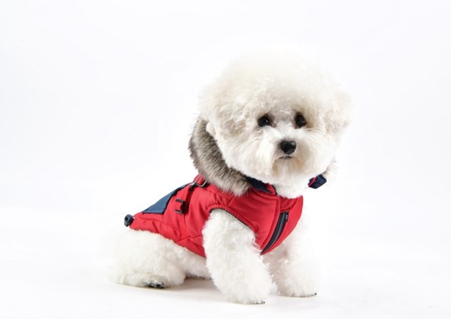 Orson Red/Navy - Hundtäcke med Luva och Integrerad Sele