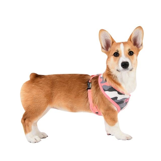Ensign Pink Camo - Hundsele