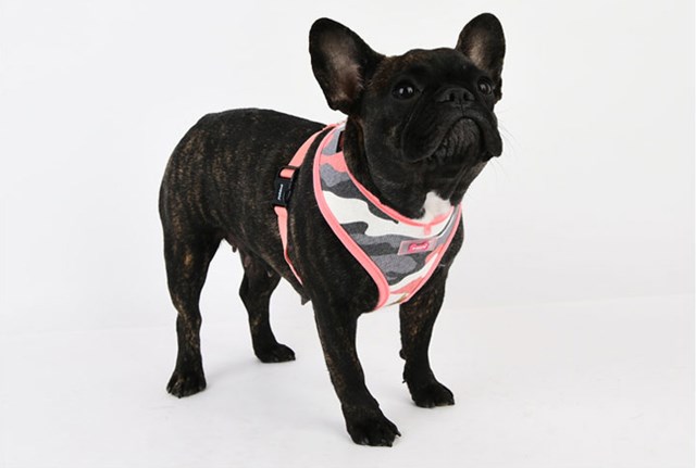 Ensign Pink Camo - Hundsele