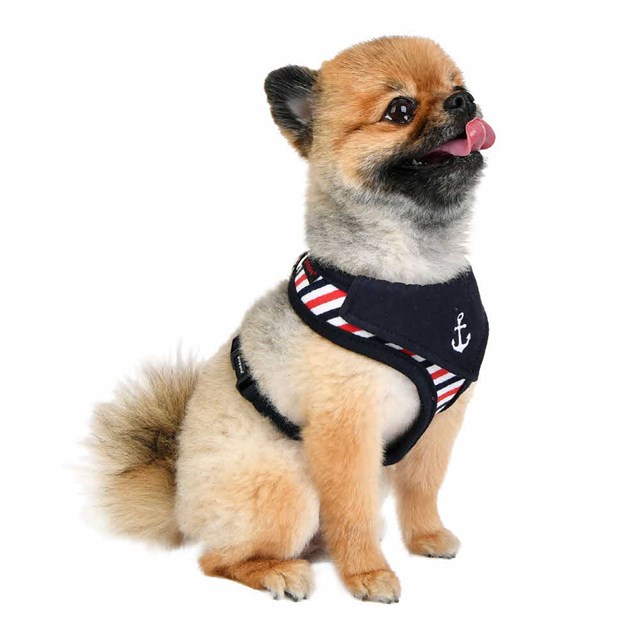 Seaman - Hundsele Navy