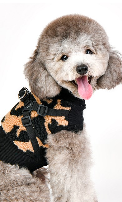 SERVAL BEIGE - HUNDTRÖJA MED INTEGRERAD SELE