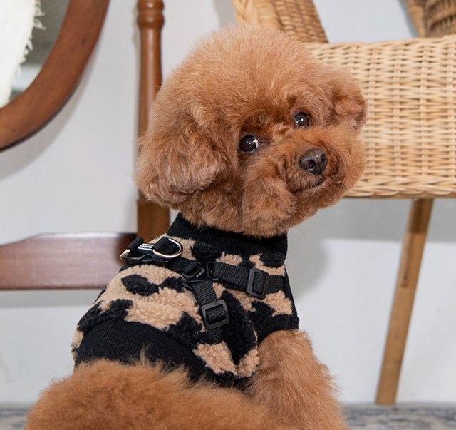 SERVAL BEIGE - HUNDTRÖJA MED INTEGRERAD SELE