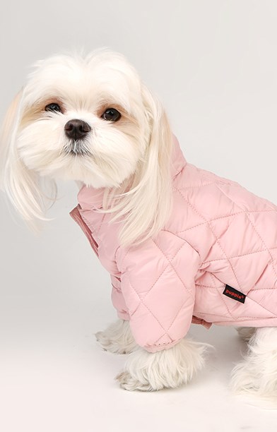 Cotton Candy Hundjacka - Rosa