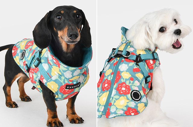 Alyssa Aqua - Hundtäcke med integrerad sele