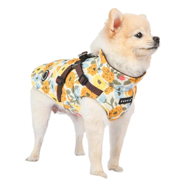 Alyssa Brown - Hundtäcke med integrerad sele