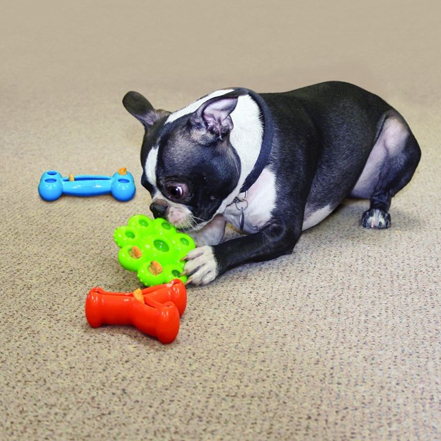 Kong Quest Star Pod - Aktiveringsleksak