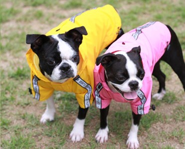 Base Jumper Camo - Regntäcke