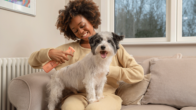 Quick Fix Spray Torrschampo 300 ml