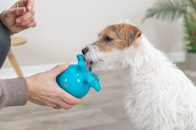 Snacksbläckfisk - Aktiveringsleksak