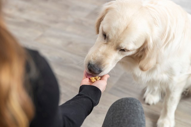 Bakform/Lick´n´Snack Slickmatta 38×28 cm - Hundben