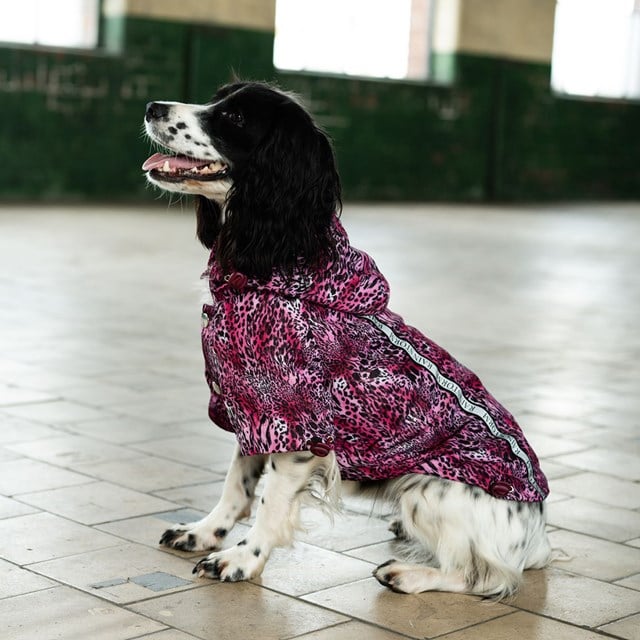 Pink Leopard Print Rainstorm Regntäcke