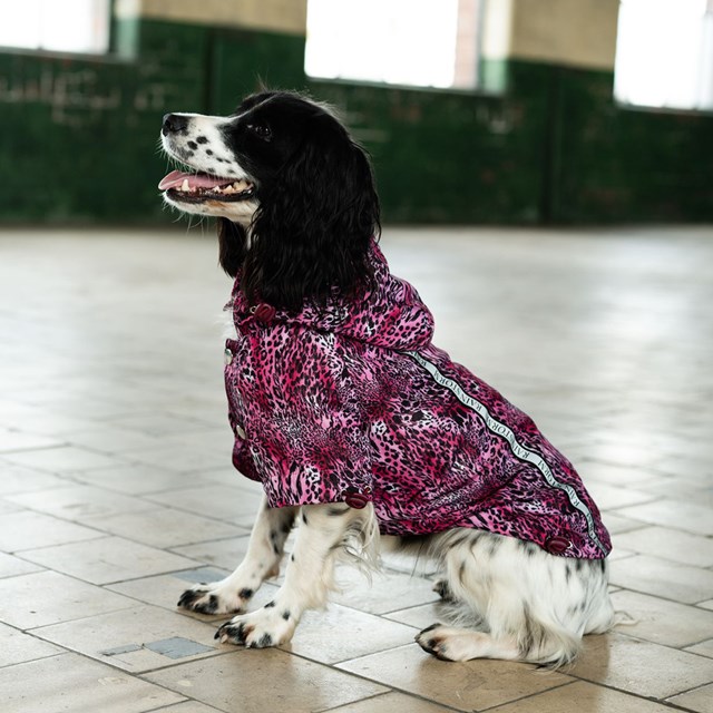 Pink Leopard Print Rainstorm Regntäcke