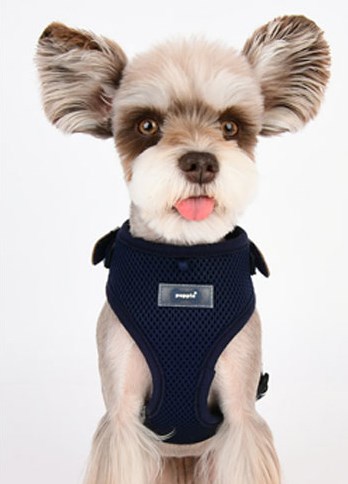 Neil Superior Navy - Hundsele