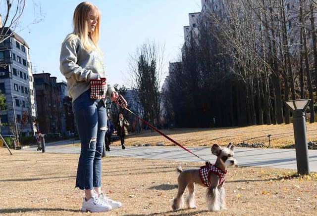 Neil Treat Bag - Wine