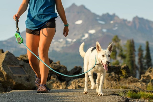 Just-a-Cinch Koppel - Svart