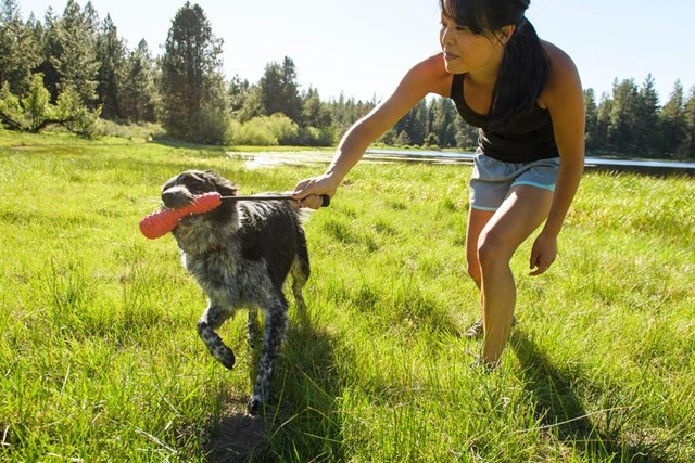 Gourdo Kastleksak - Gul
