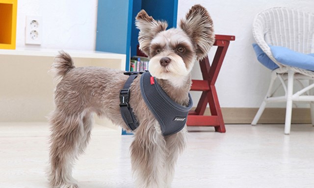 SOFT Grey - Hundsele