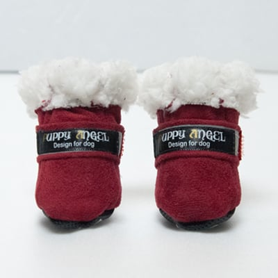 Angione Hundskor 4-pack - Röd