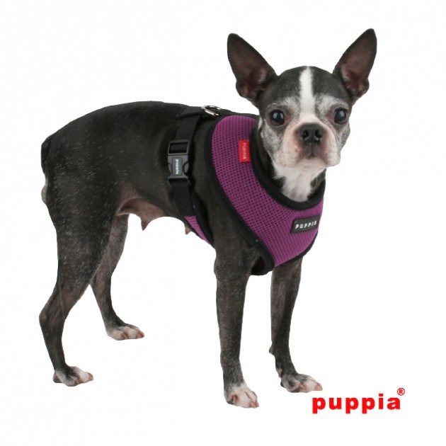 SOFT Purple - Hundsele