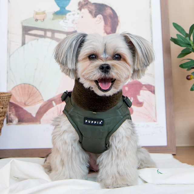 Donavan Khaki  - FODRAT HUNDTÄCKE MED INTEGRERAD SELE