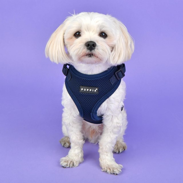 Ritefit Navy - Hundsele